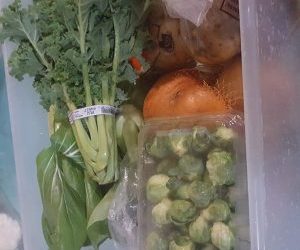 Winter Share Delivery 1 (Nov 14/15 )