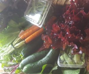 Farm Share Week 6 (July 11-14, 2018)