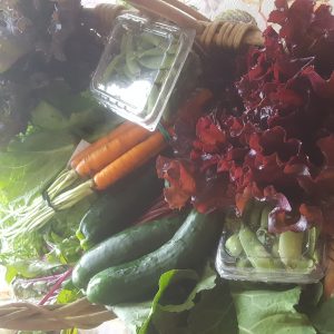 Farm Share Week 6 (July 11-14, 2018)