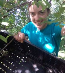 Farm Share Week 16: Sept 16-19, 2015