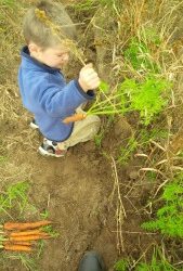 Farm Share Week 21, Oct 21-24, 2015