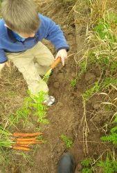 Farm Share Week 22: Oct 28-30, 2015