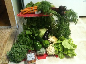 Farm Share Week 11 Aug 13-16, 2014