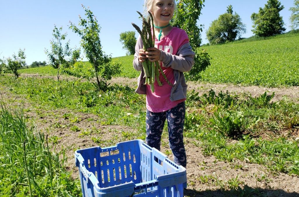 Farm Share Week 2 (June 9-13, 2020)