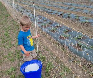 From Arugula to Zucchini (July 12-16, 2022)