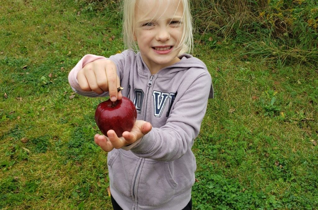 Farm Share 2019 Thanksgiving Week!