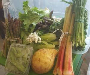 Farm Share Week 1 June 6-9, 2018