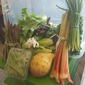 Farm Share Week 1 June 6-9, 2018