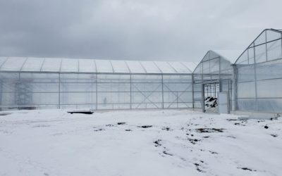 Getting Close to Greenhouse Time