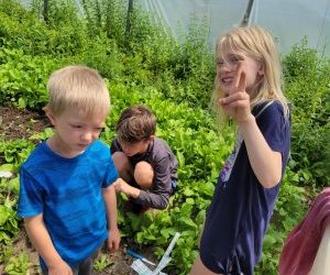 Can’t Beet Fresh from the Farm!