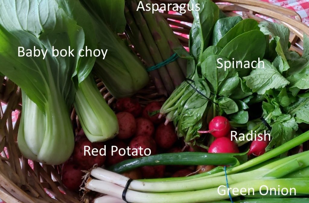 Farm Share 2019 Week 1 (June 5-8)