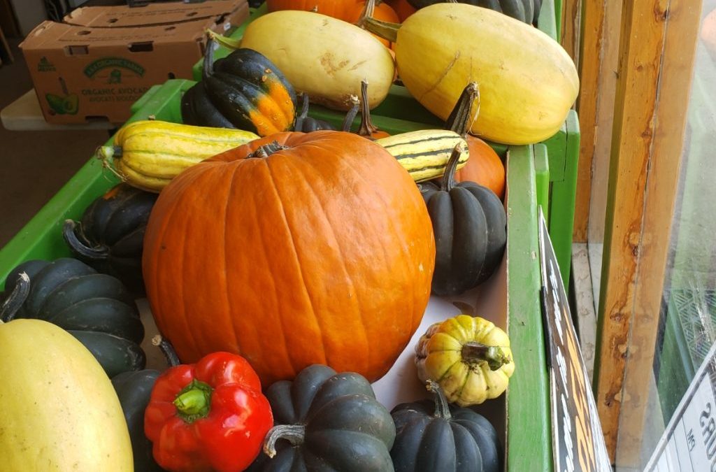 It’s Squash & Pumpkin Season!