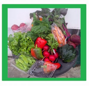 veggie box button