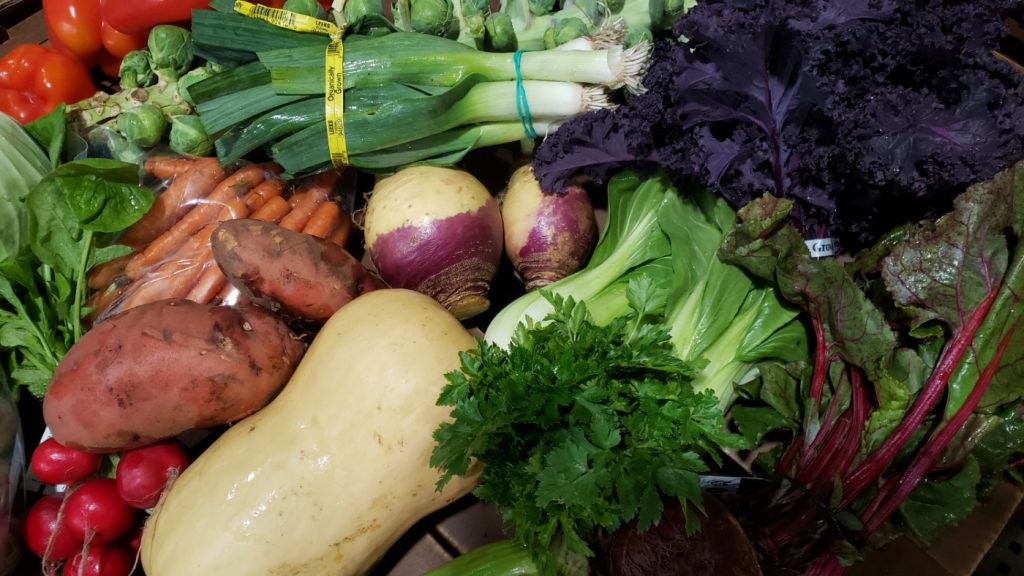 Week 22 (Final!) Week of 2019 Farm Share